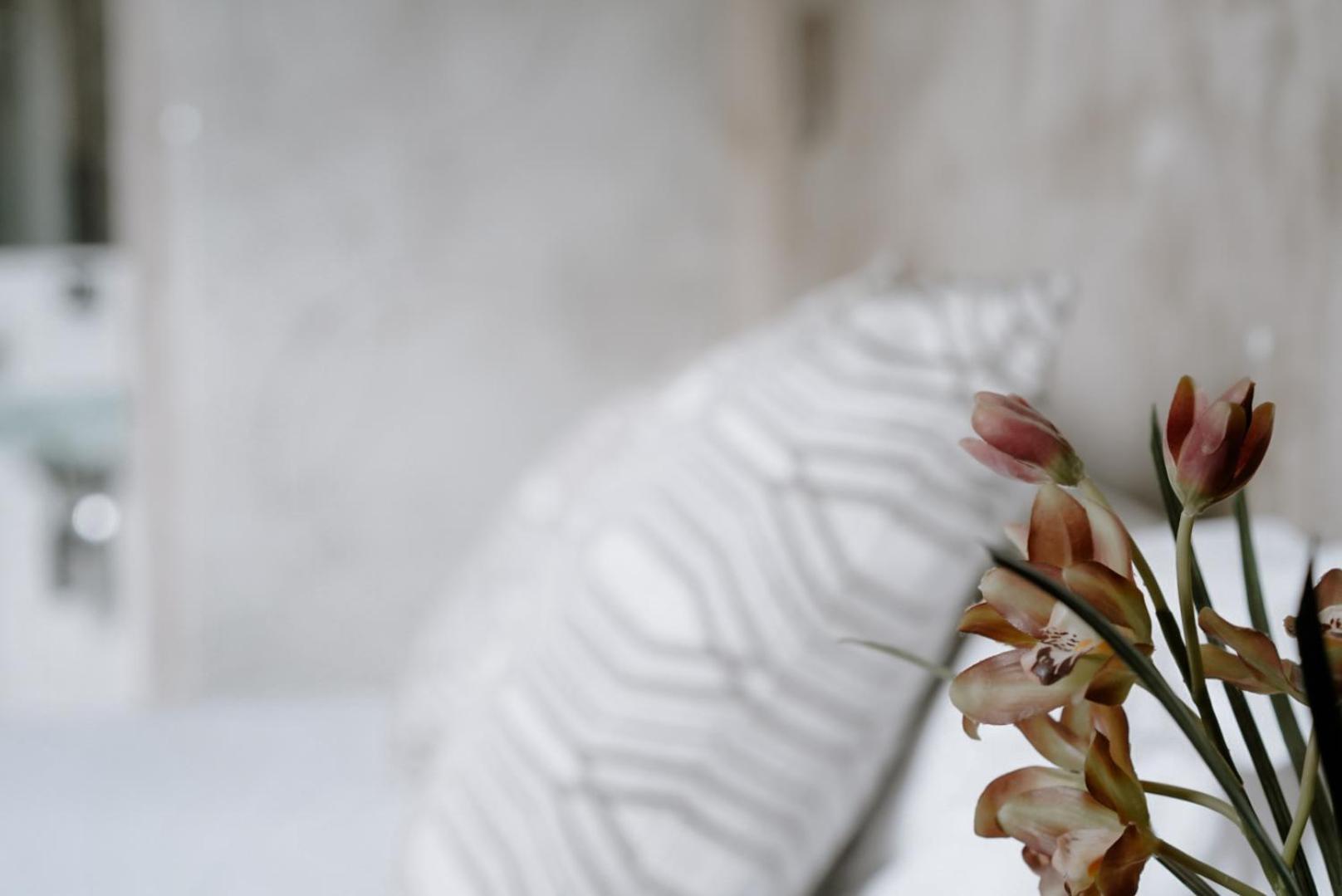Ideal Sejour Cannes - Stylish Boutique Hotel With Quiet Garden 外观 照片